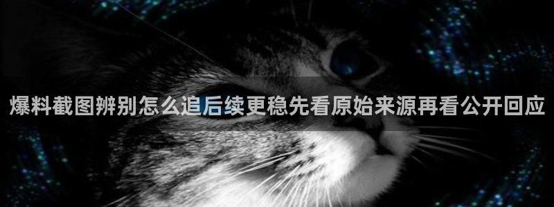 黑料热门话题:爆料截图辨别怎么追后续更稳先看原始来源再看公开回应