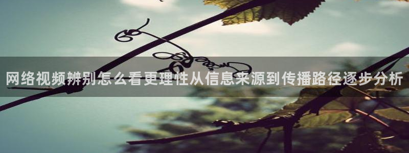最新资讯爆料:网络视频辨别怎么看更理性从信息来源到传播路径逐步分析