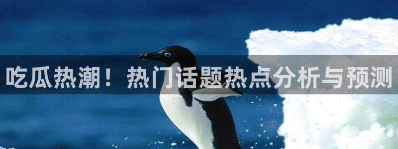 热门网络资讯:吃瓜热潮!热门话题热点分析与预测