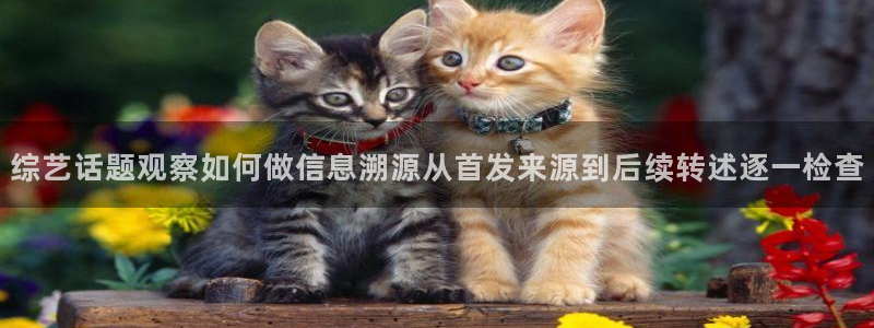 最新事件爆料:综艺话题观察如何做信息溯源从首发来源到后续转述逐一检查