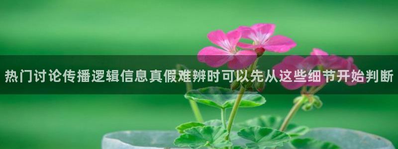 黑料爆料事件大全:热门讨论传播逻辑信息真假难辨时可以先从这些细节开始判断