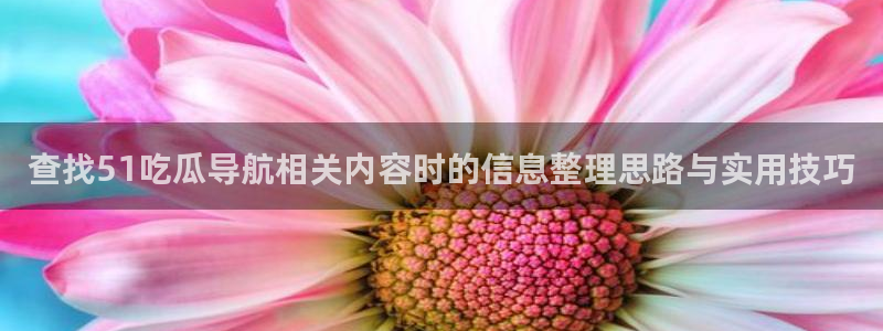 热点事件大全:查找51吃瓜导航相关内容时的信息整理思路与实用技巧