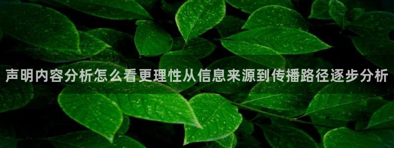 黑料爆料资讯榜:声明内容分析怎么看更理性从信息来源到传播路径逐步分析