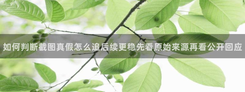 黑料爆料今日热搜：如何判断截图真假怎么追后续更稳先看原始来源再看公开回应