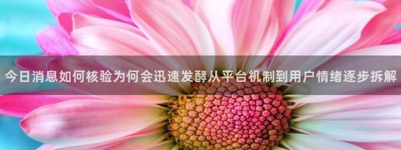 黑料爆料网络内容:今日消息如何核验为何会迅速发酵从平台机制到用户情绪逐步拆解