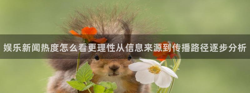 热门事件动态:娱乐新闻热度怎么看更理性从信息来源到传播路径逐步分析