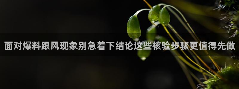 话题爆料大全：面对爆料跟风现象别急着下结论这些核验步骤更值得先做